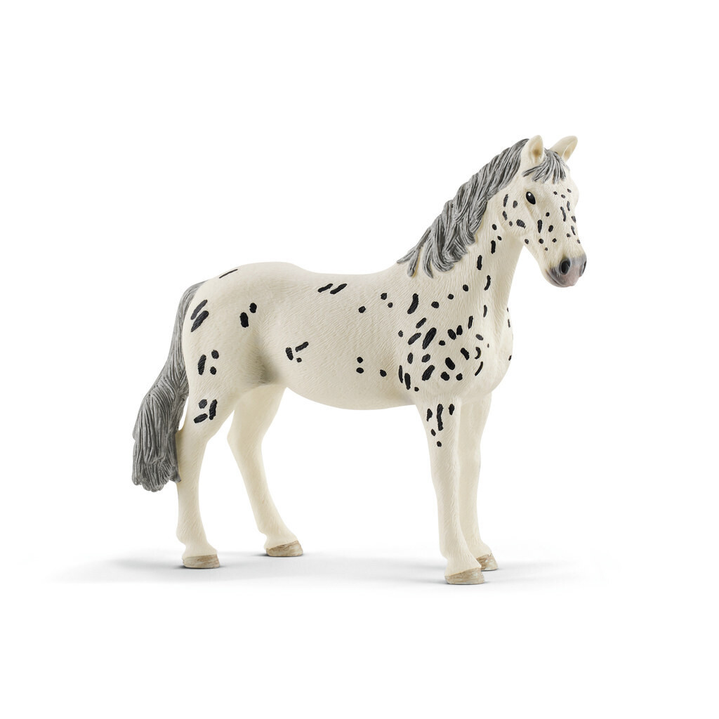 Horse Club - Knabstrupper Mare