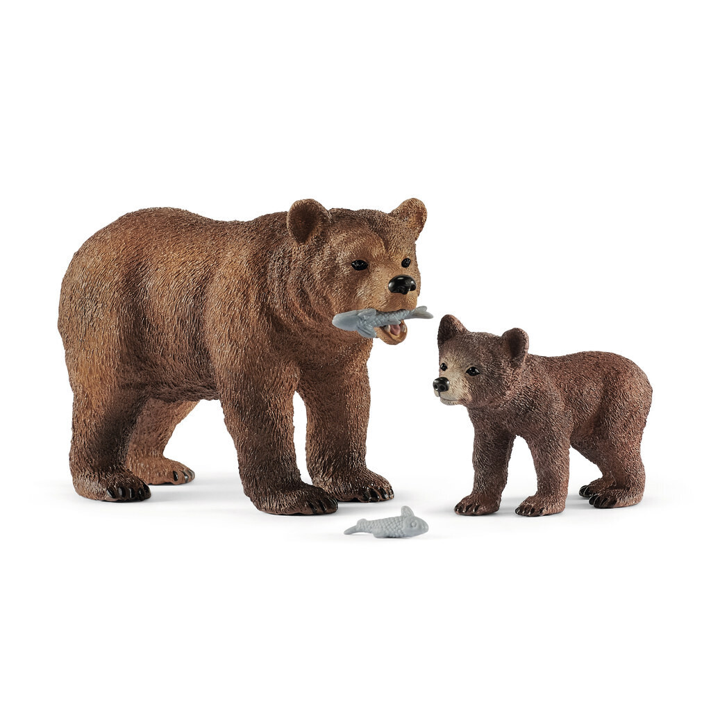 Wild Life - Grizzly Bear Mother with Cub