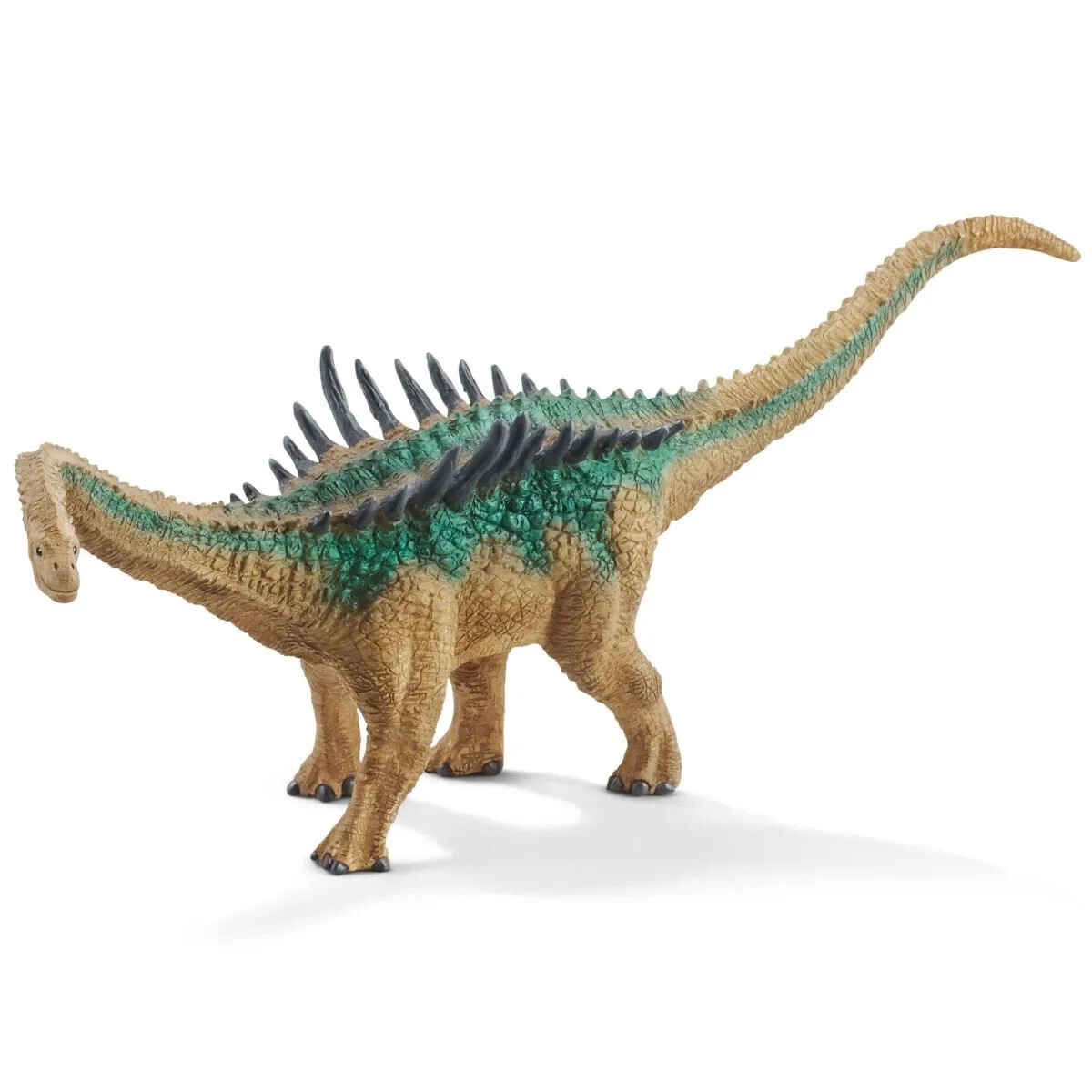Dinosaur - Agustinia