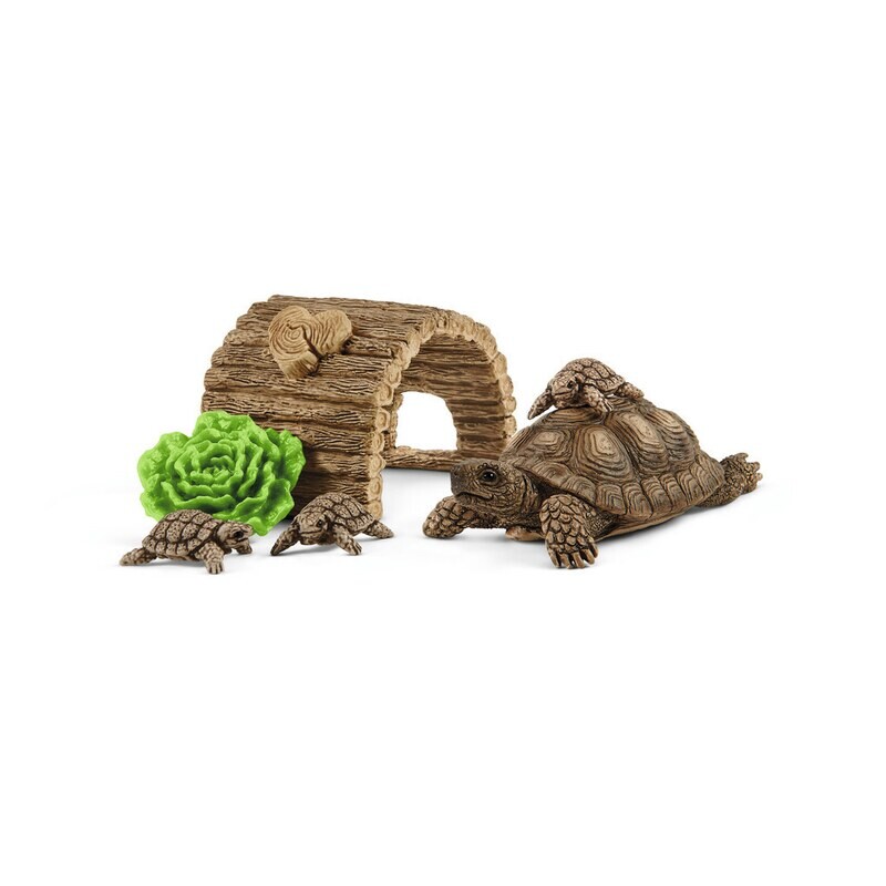 Wild Life - Tortoise Home
