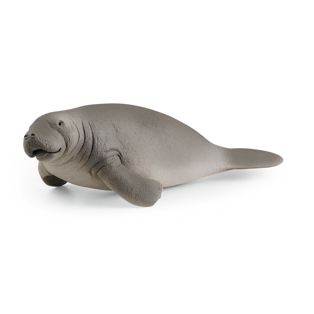 Wild Life - Manatee