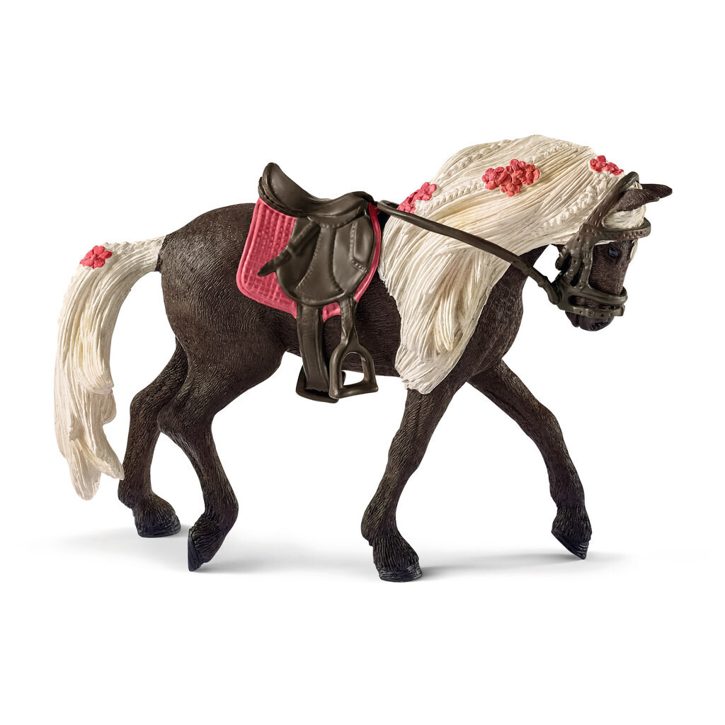 Horse Club - Rocky Mountain Horse Mare Show
