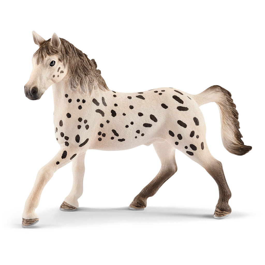 Horse Club - Knabstrupper Stallion