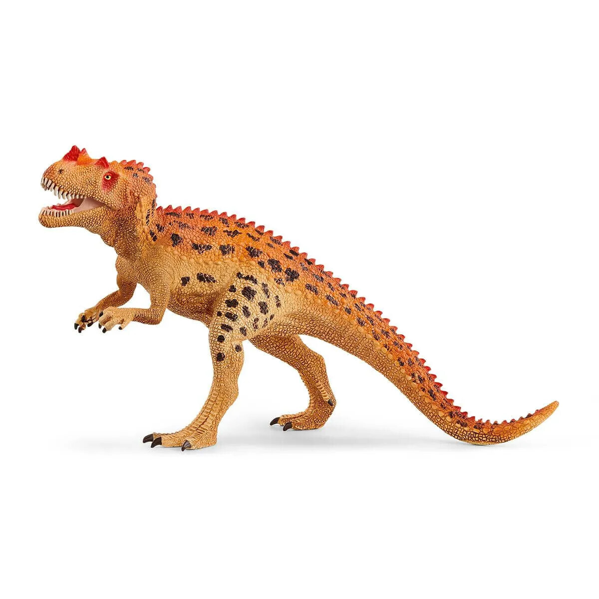 Dinosaur - Ceratosaurus