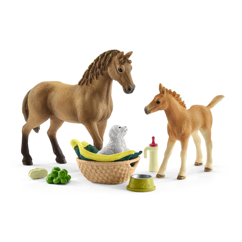 Horse Club - Caring for Baby Animal