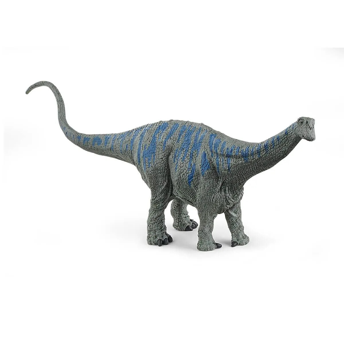 Dinosaur - Brontosaurus