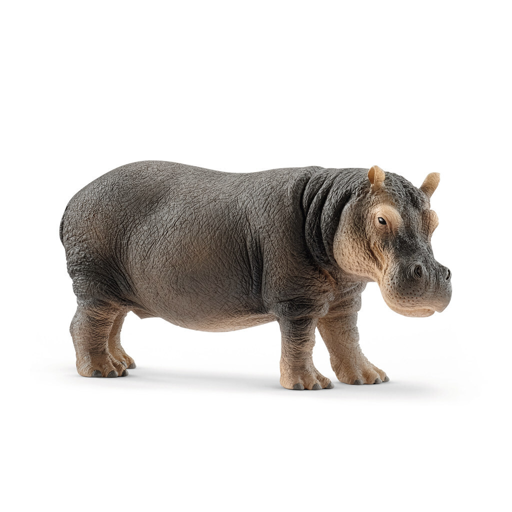 Wild Life - Hippopotamus