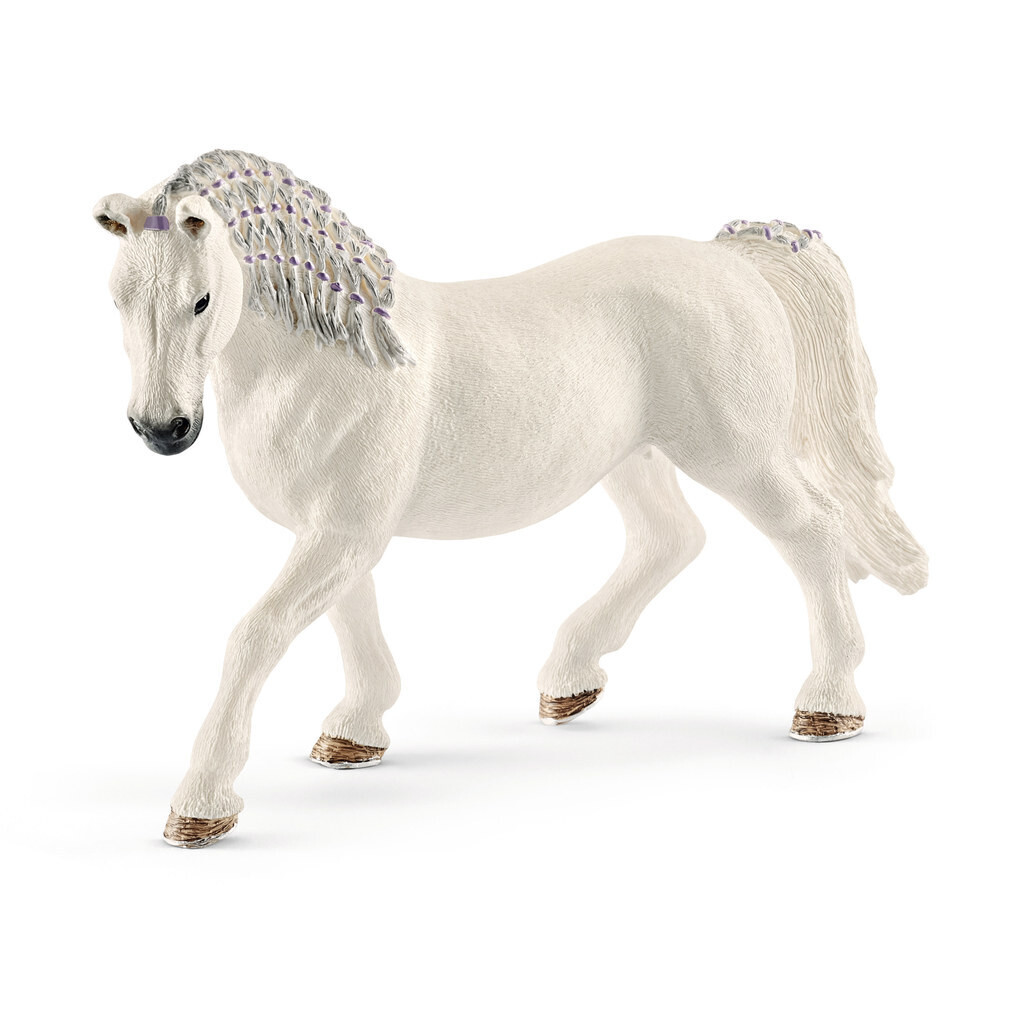 Horse Club - Lipizzaner Mare