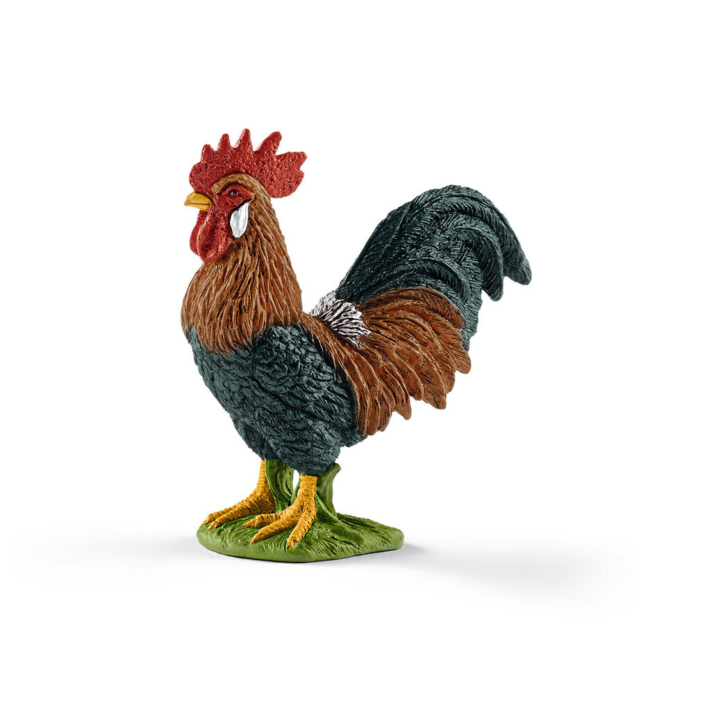 Farm World - Rooster