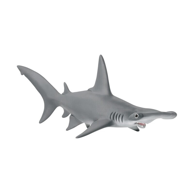 Wild Life - Hammerhead Shark