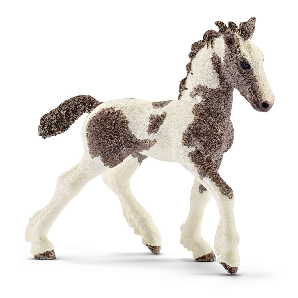 Farm World - Tinker Foal