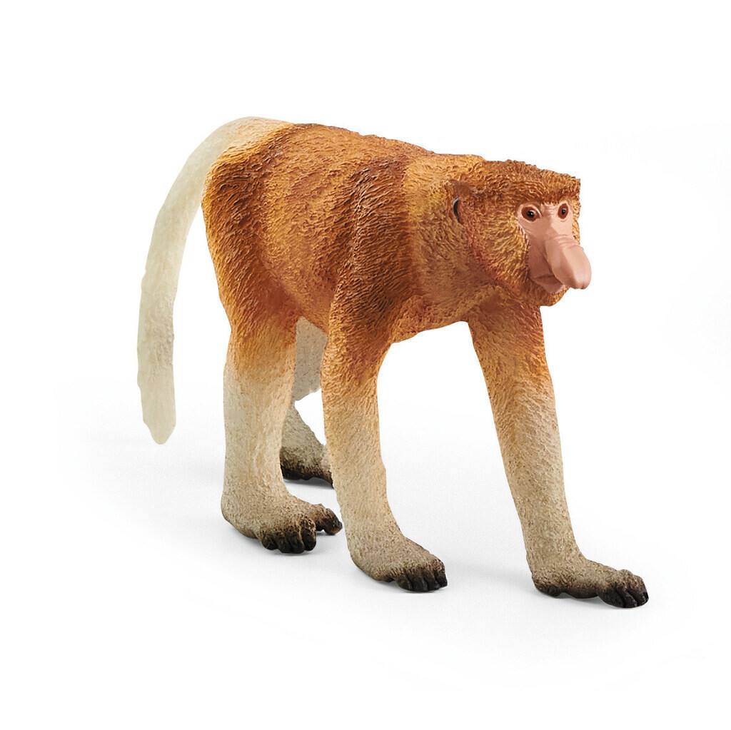 Wild Life - Proboscis Monkey Nasique