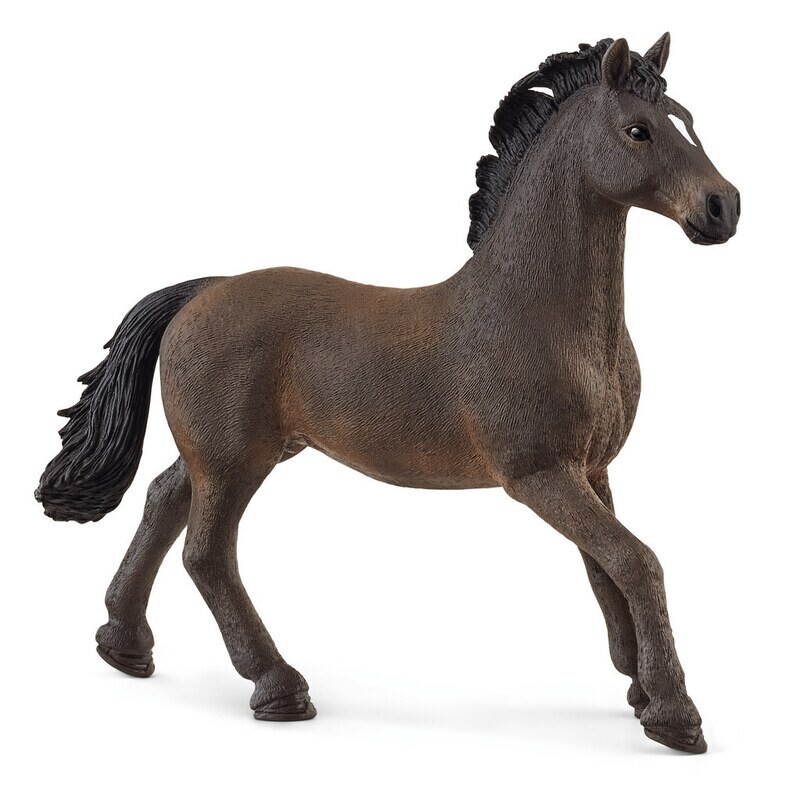 Horse Club - Oldenburger Stallion