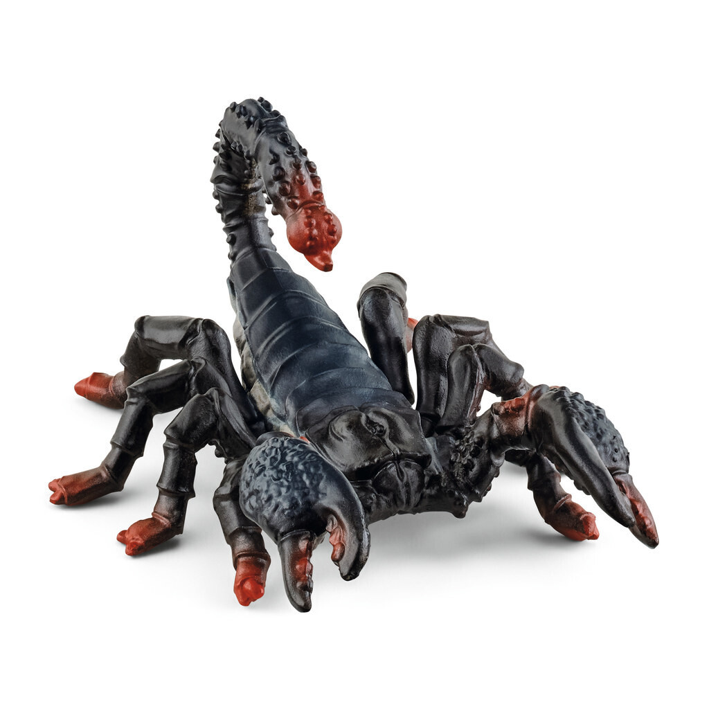 Wild Life - Emperor Scorpion