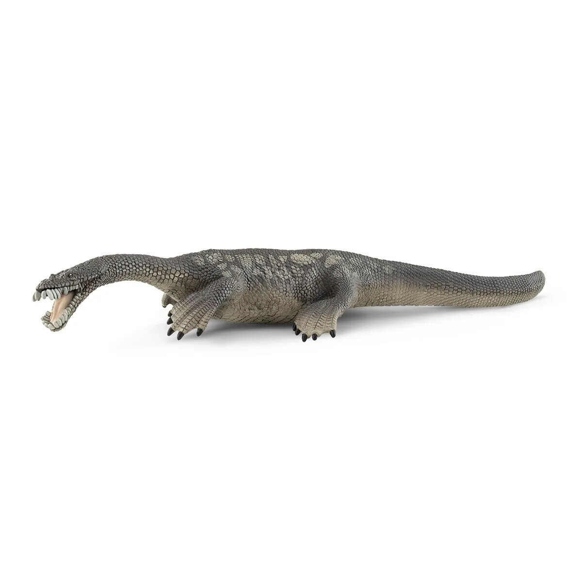 Dinosaur - Nothosaurus