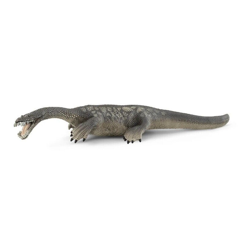 Dinosaur - Nothosaurus