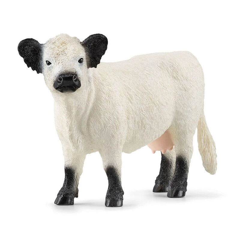 Farm World - Galloway Cattle