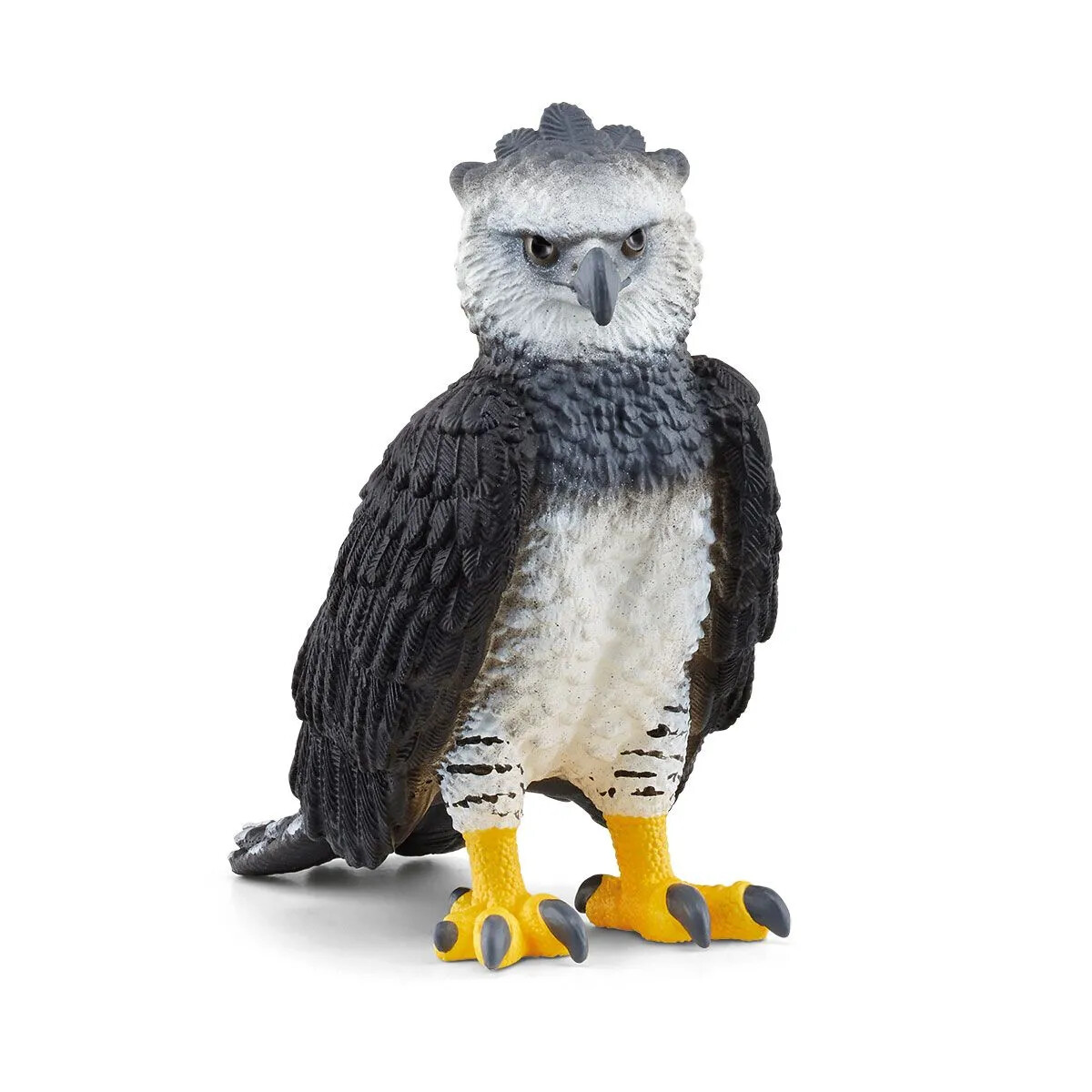 Wild Life - Harpy Eagle
