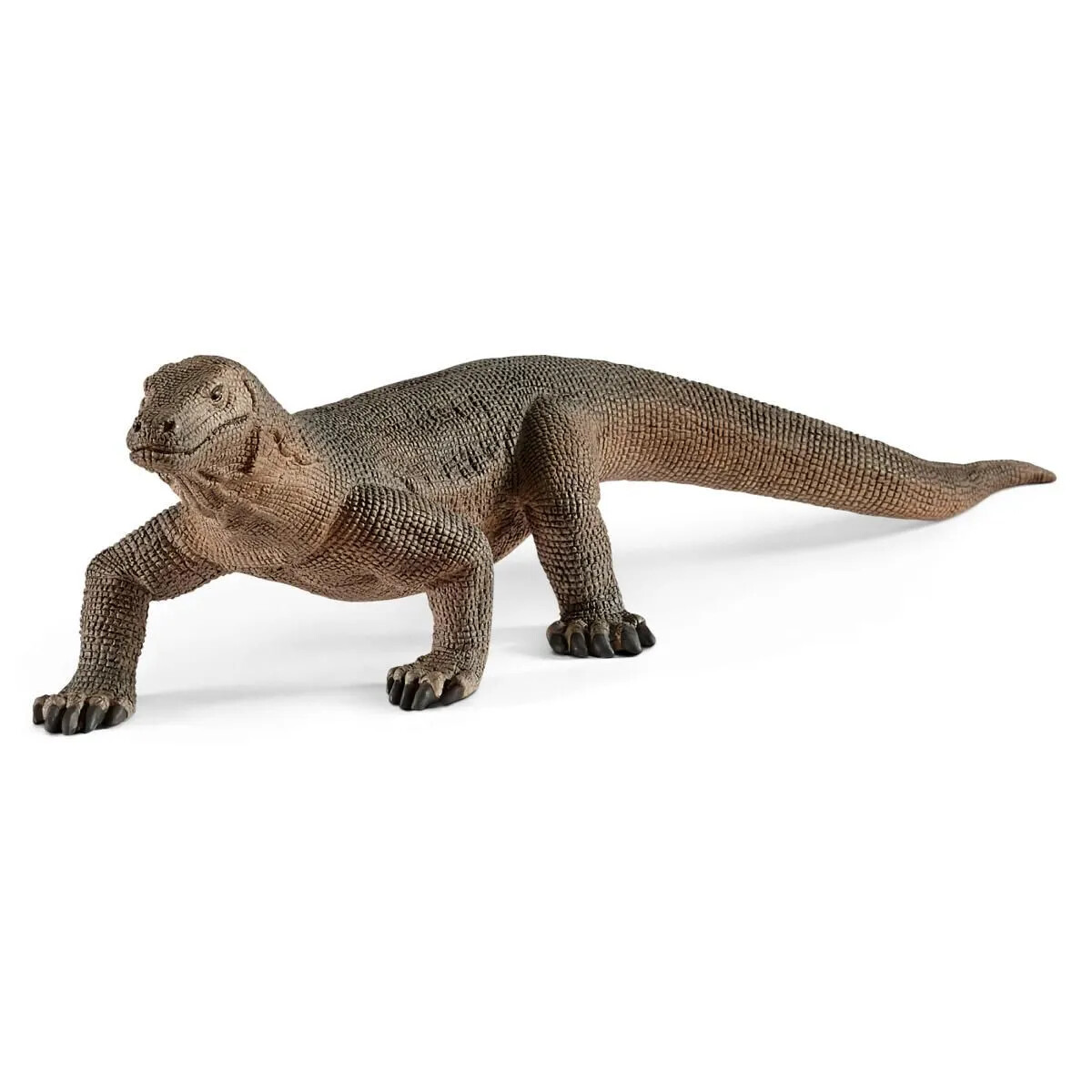Wild Life - Komodo Dragon