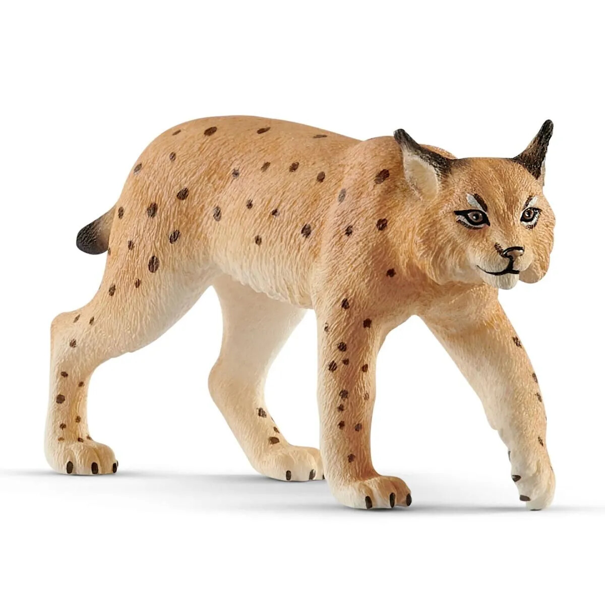 Wild Life - Lynx