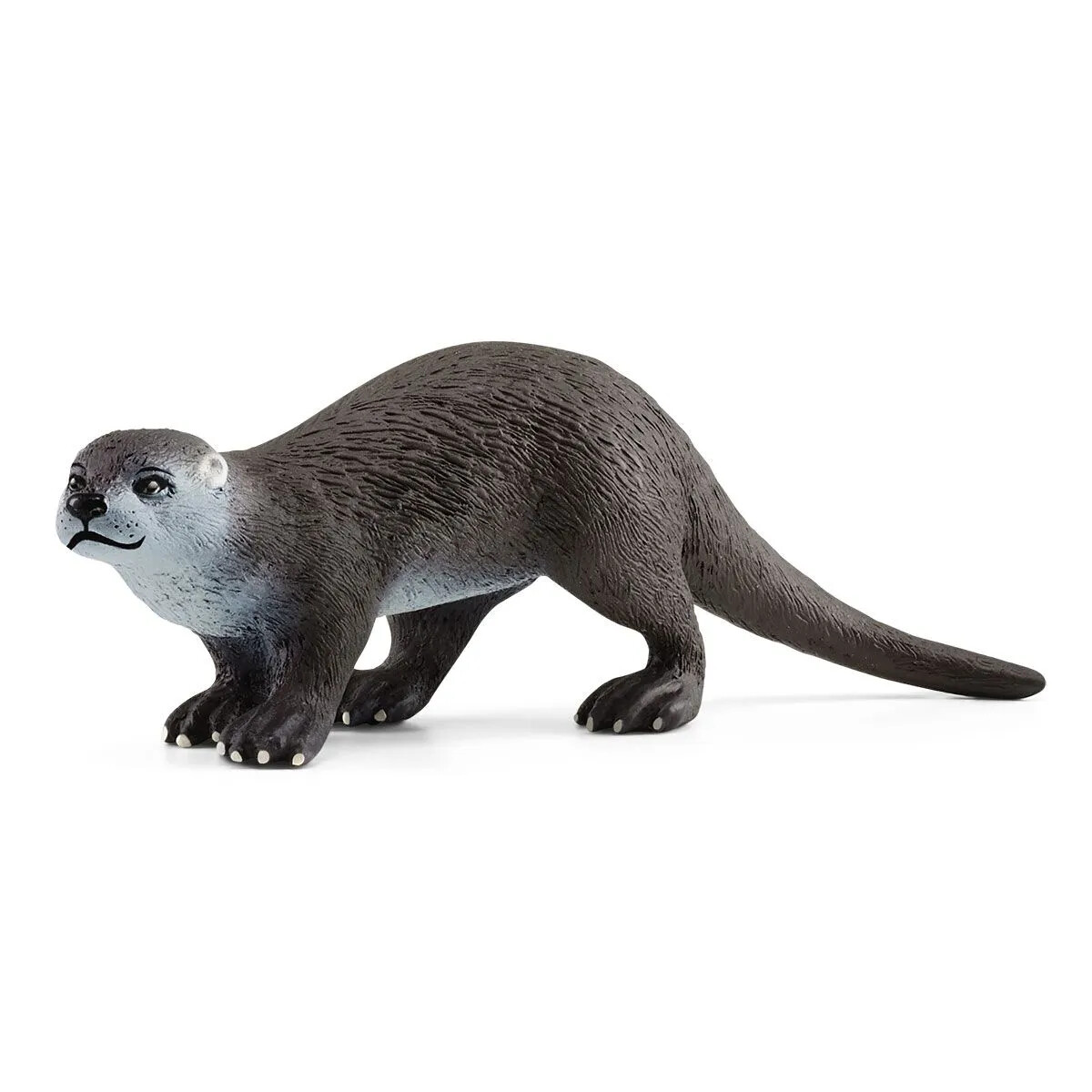Wild Life - Otter