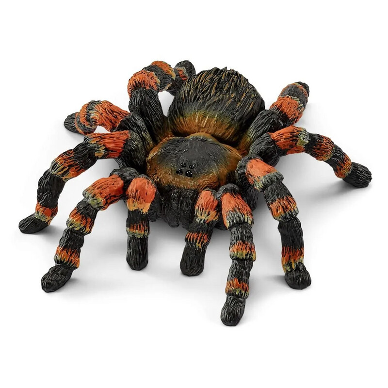 Wild Life - Tarantula