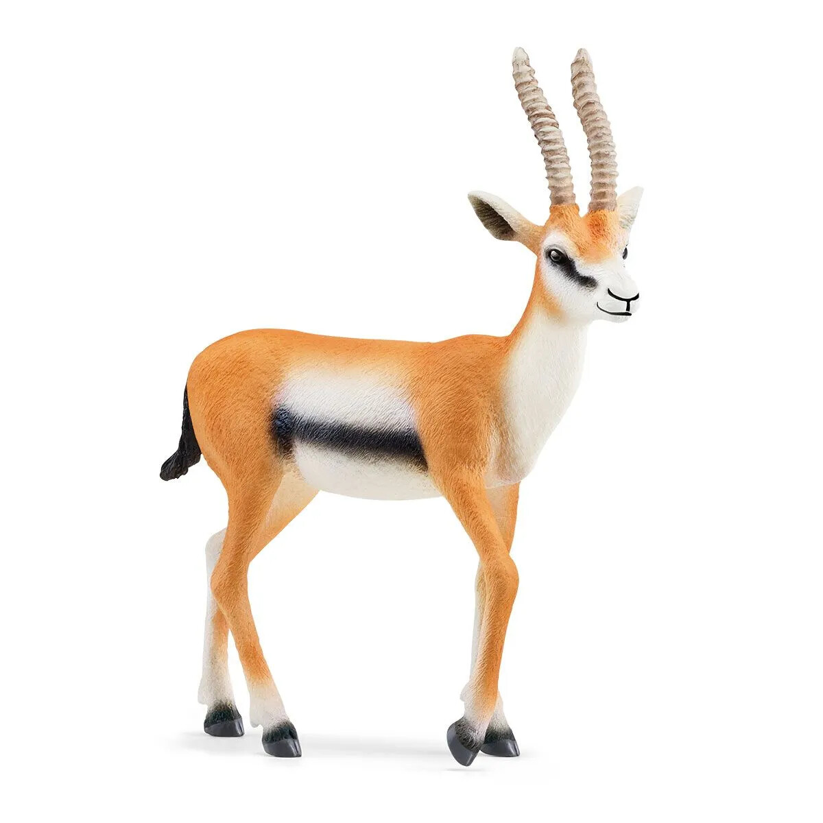 Wild Life - Thomson Gazelle