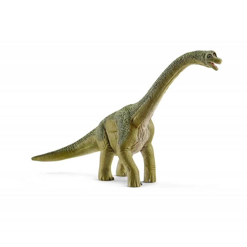 Dinosaurs - Brachiosaurus, Green
