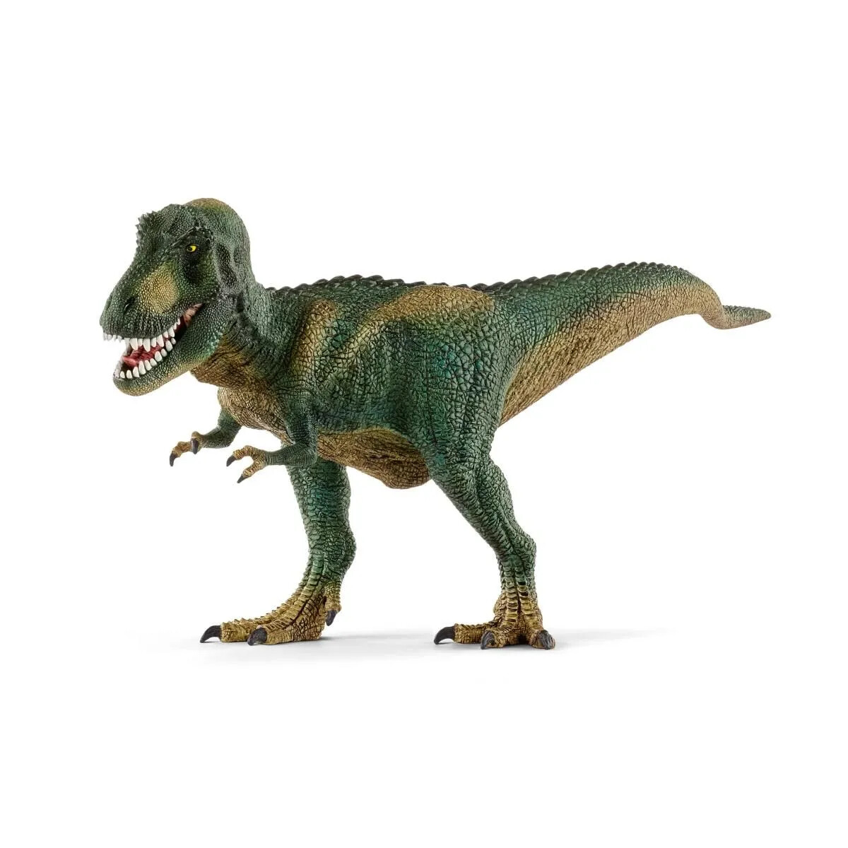 Dinosaurs - Tyrannosaurus Rex