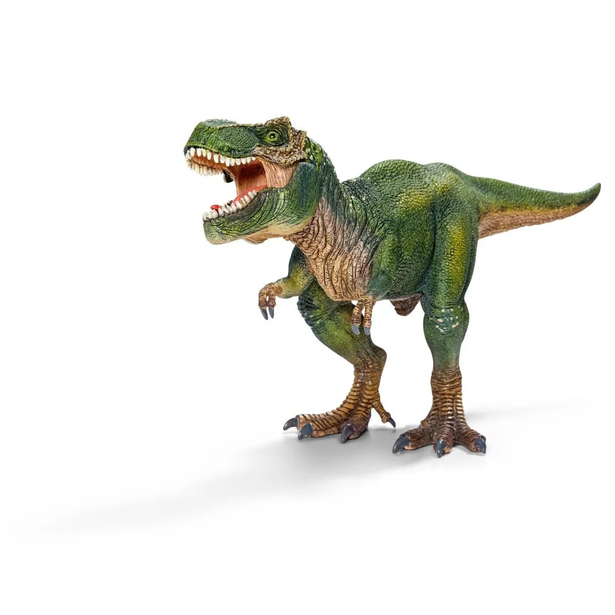 Dinosaurs - Tyrannosaurus Rex