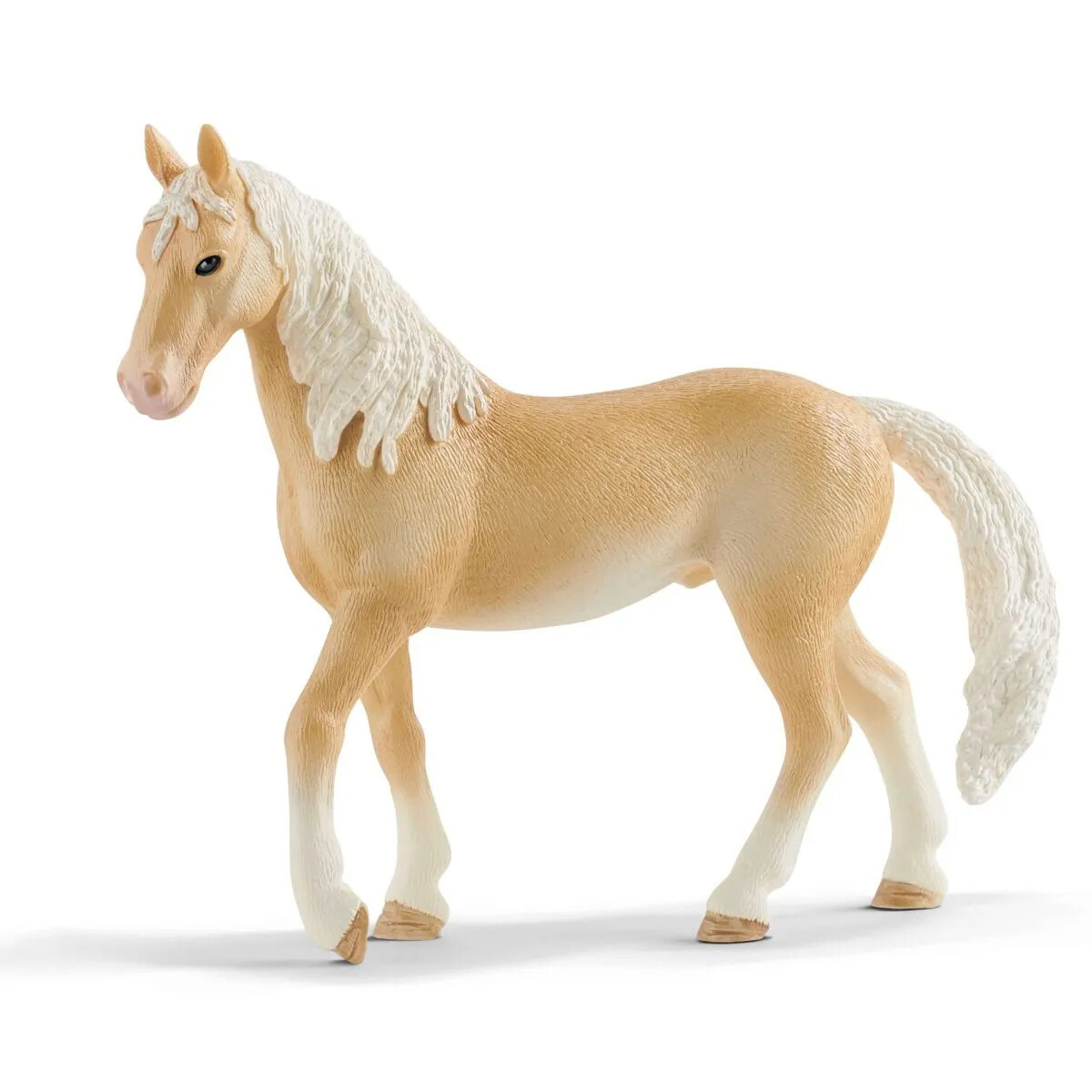 Horse Club - Akhal Teke Stallion