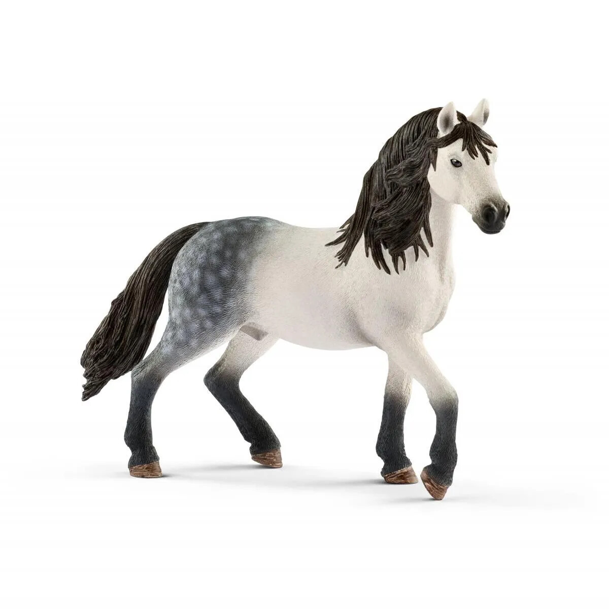 Horse Club - Andalusian Stallion