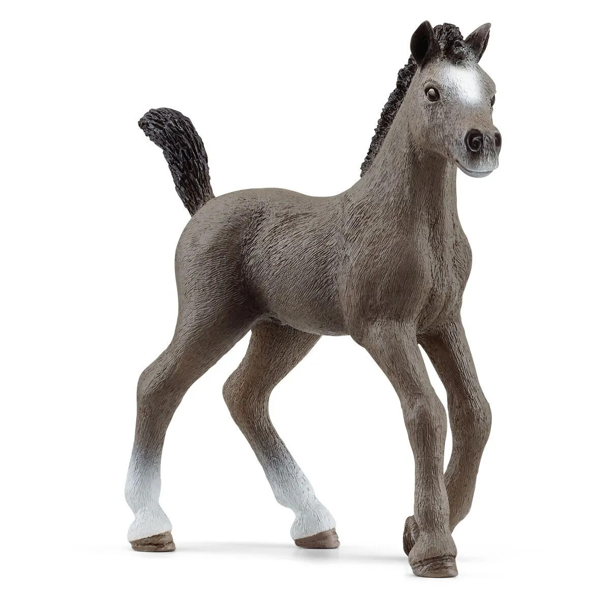 Horse Club - Cheval de Selle Francais Foal