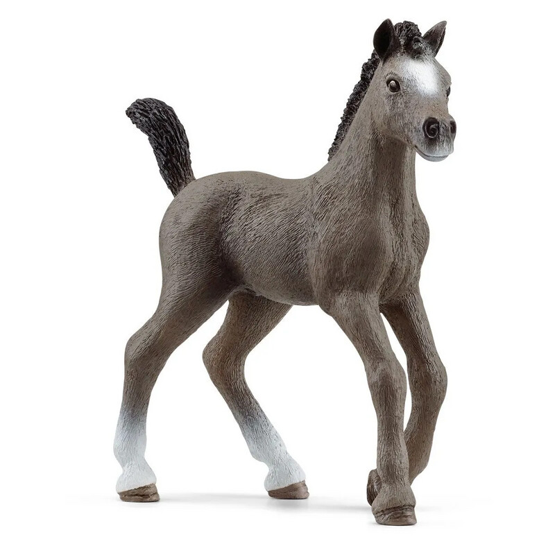 Horse Club - Cheval de Selle Francais Foal