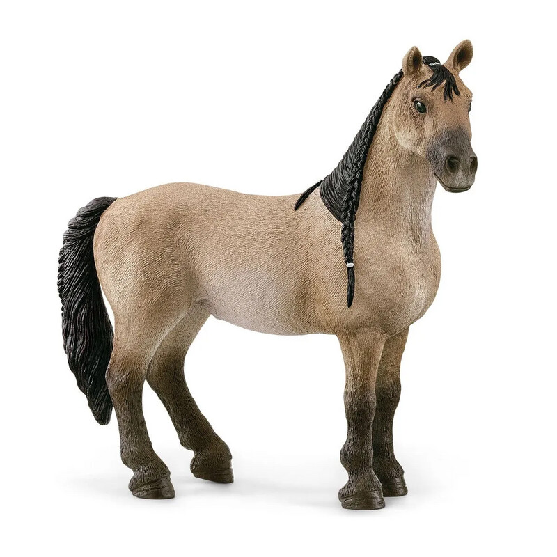 Horse Club - Criollo Definitivo Mare