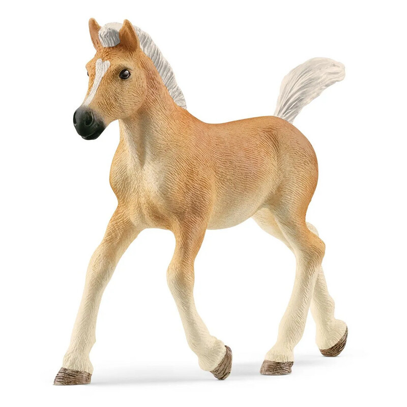 Horse Club - Haflinger Foal