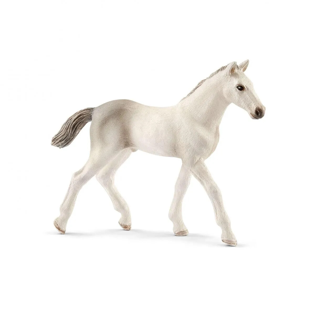 Horse Club - Holsteiner Foal