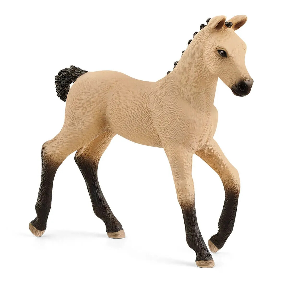 Horse Club - Hanoverian Foal