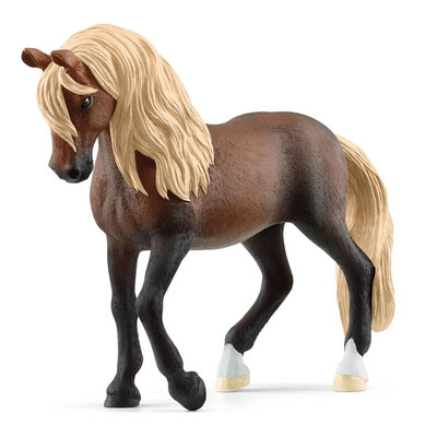 Horse Club - Paso Peruano Stallion