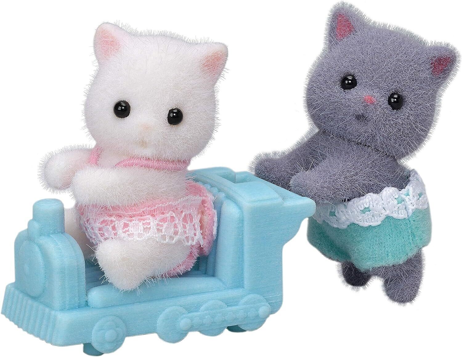 Twins - Persian Cat