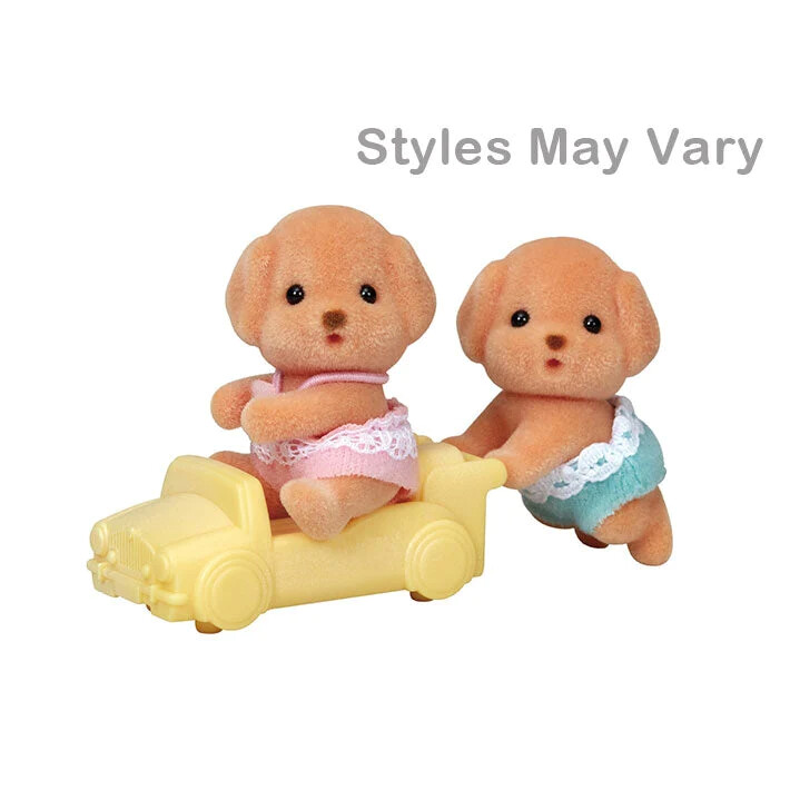 Twins - Toy Poodle