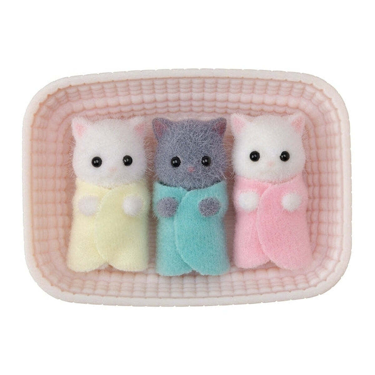 Triplets - Persian Cat