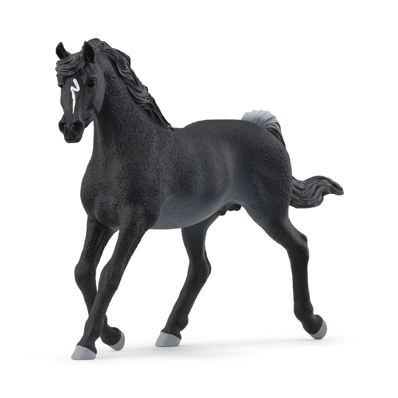 Horse Club - Arabian Stallion