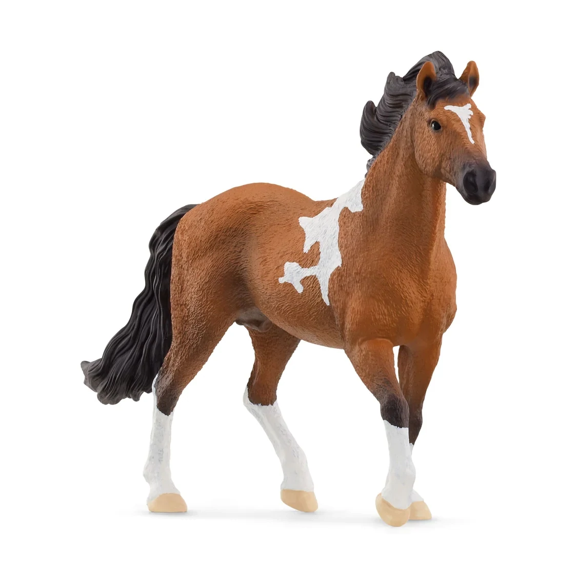 Horse Club - Mangalarga Marchador Stallion