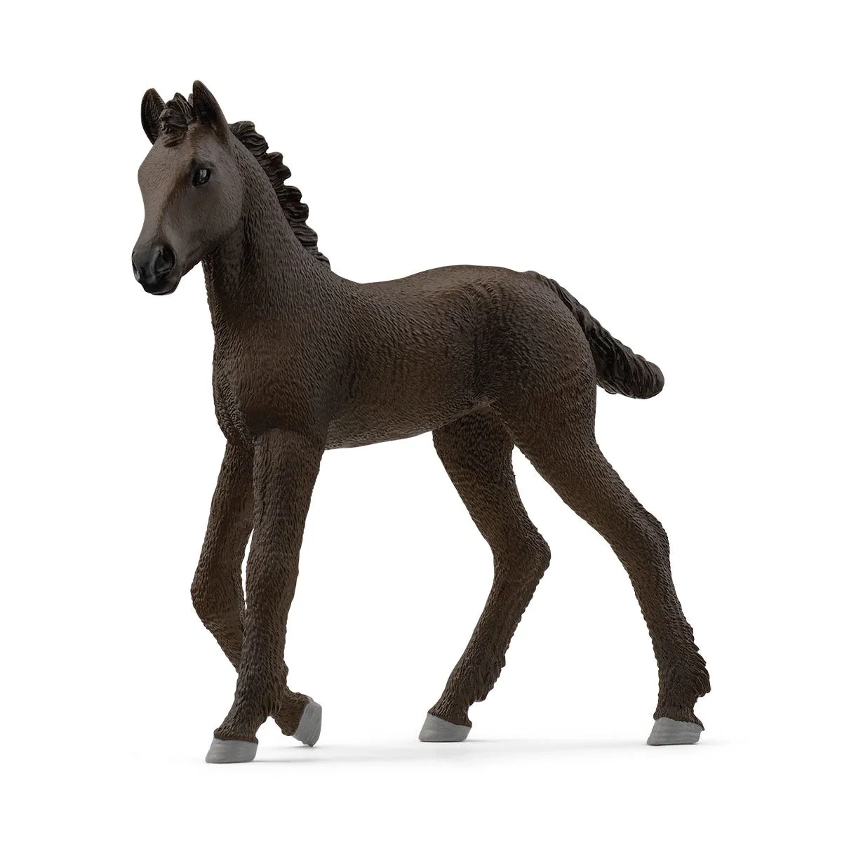 Horse Club - Friesian Foal