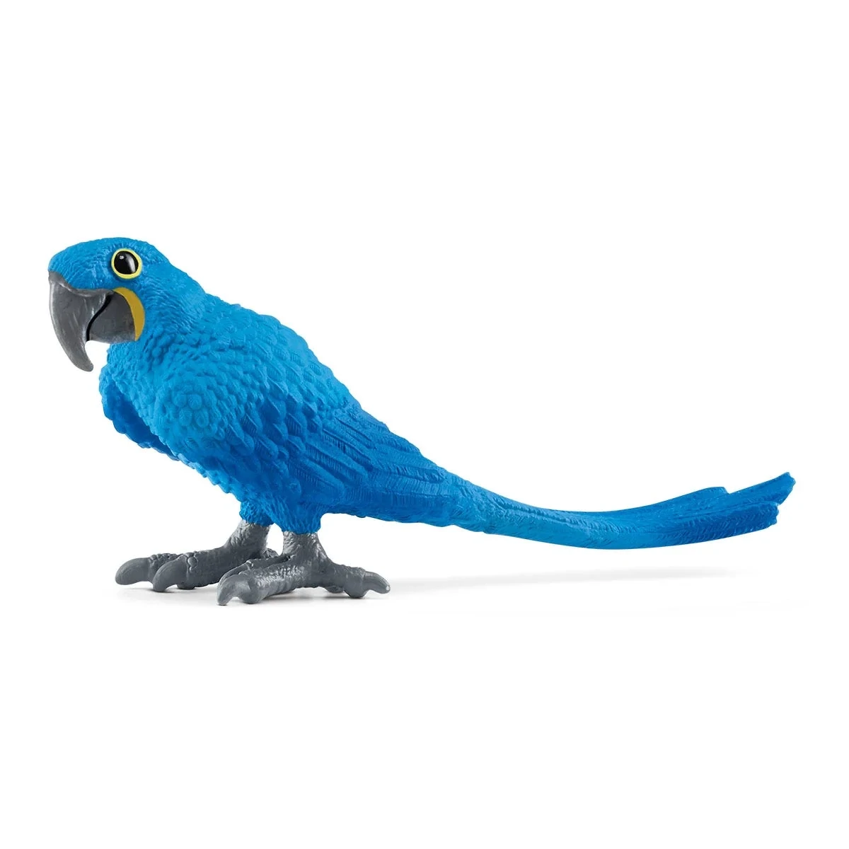 Wild Life - Hyacinth Macaw