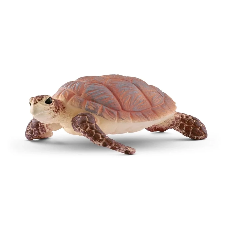 Wild Life - Hawksbill Sea Turtle