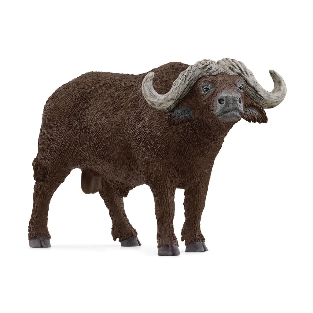 Wild Life - Water Buffalo