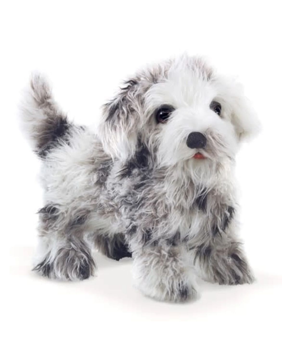 Folkmanis - Shih Tzu Puppy