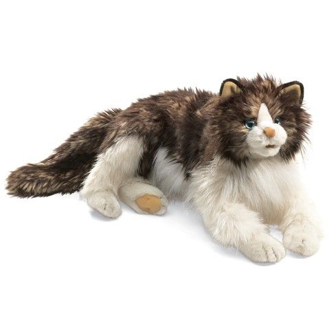 Folkmanis - Cat, Ragdoll